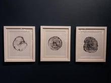 Load image into Gallery viewer, Rings of Time 1