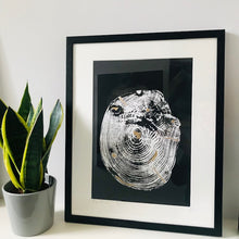 Load image into Gallery viewer, Rings of Time 1